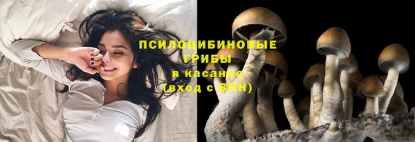 дурь Алексеевка