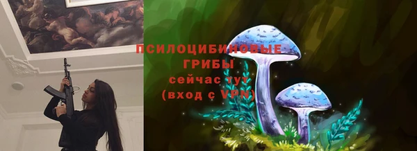 СК Алексин