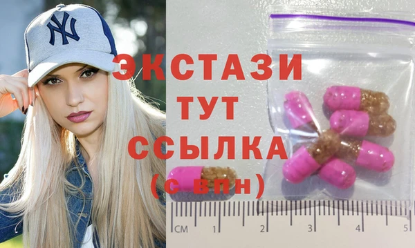 СК Алексин
