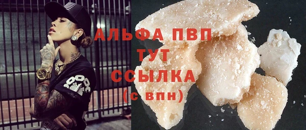 СК Алексин