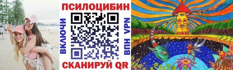 Псилоцибиновые грибы GOLDEN TEACHER  где купить наркоту  Новоульяновск 
